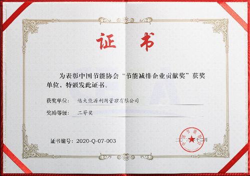 遠(yuǎn)大能源創(chuàng)新突破，新興能源技術(shù)研發(fā)榮膺中國節(jié)能協(xié)會創(chuàng)新獎
