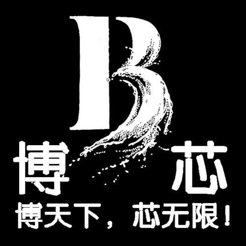 洞察科技脈搏，賦能企業(yè)未來(lái)——山東博芯信息科技信息咨詢服務(wù)解析
